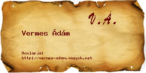 Vermes Ádám névjegykártya