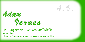 adam vermes business card
